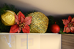 THE MARTIN FOR THE HOLIDAYS